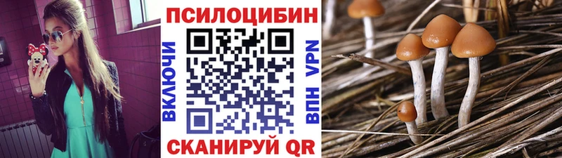 мега маркетплейс  Кремёнки  Псилоцибиновые грибы GOLDEN TEACHER 